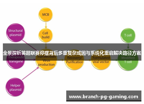 全景探析英超联赛停摆背后多重复杂成因与系统化重启解决路径方案