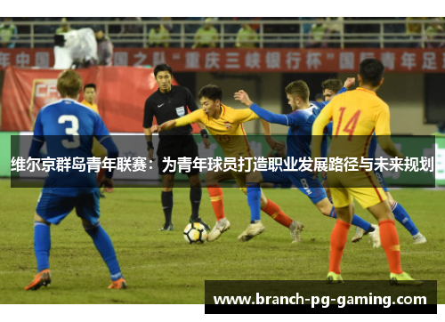 维尔京群岛青年联赛：为青年球员打造职业发展路径与未来规划