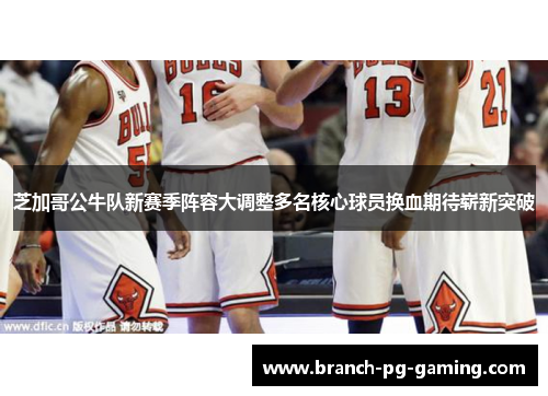 芝加哥公牛队新赛季阵容大调整多名核心球员换血期待崭新突破