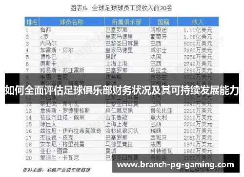 如何全面评估足球俱乐部财务状况及其可持续发展能力